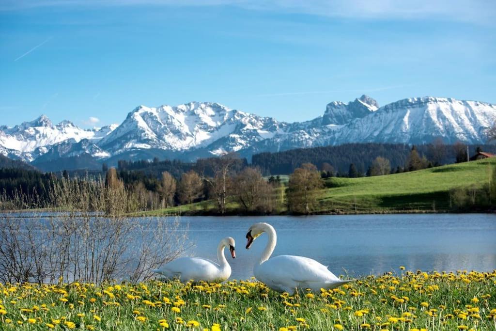 Wiesenweg Appartamento *